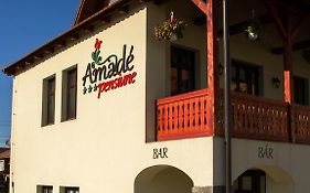 Amadé Pensiune&Restaurant